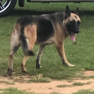 Meet your Posher, Jackie